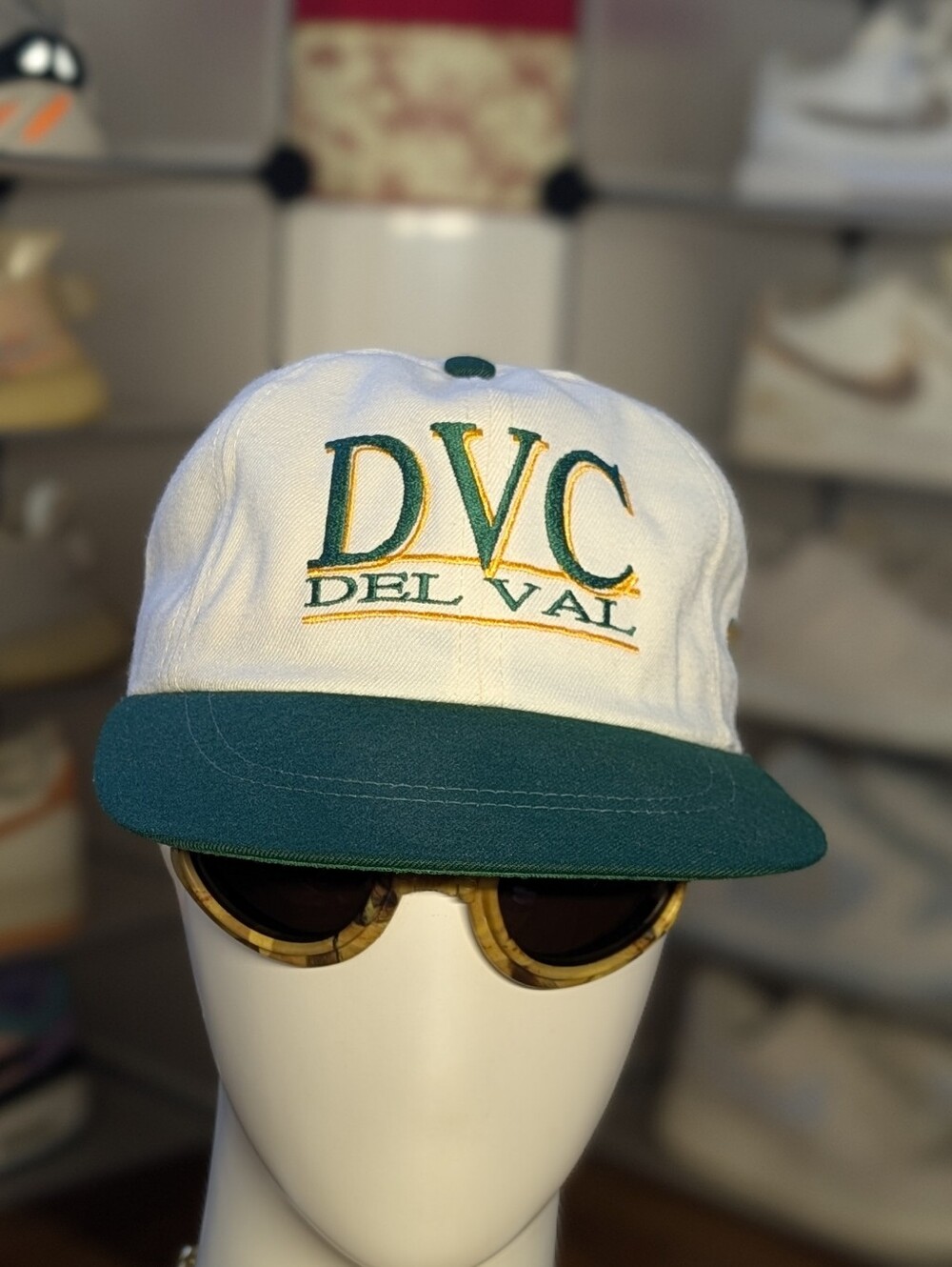 Delaware Valley College Vintage Hat (OS)